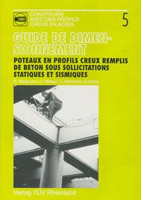 Couverture de la publication Poteaux en profils creux remplis de béton sous sollicitations statiques et sismiques